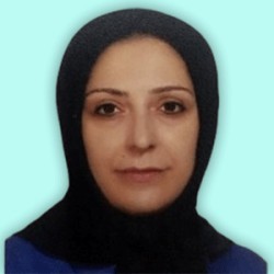 نیلوفر حاجی زاده
