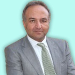 محمد علی احسانی