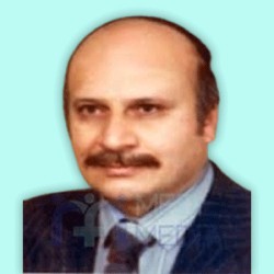 محمد علی رئیسی
