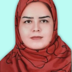 نجیمه صانحی